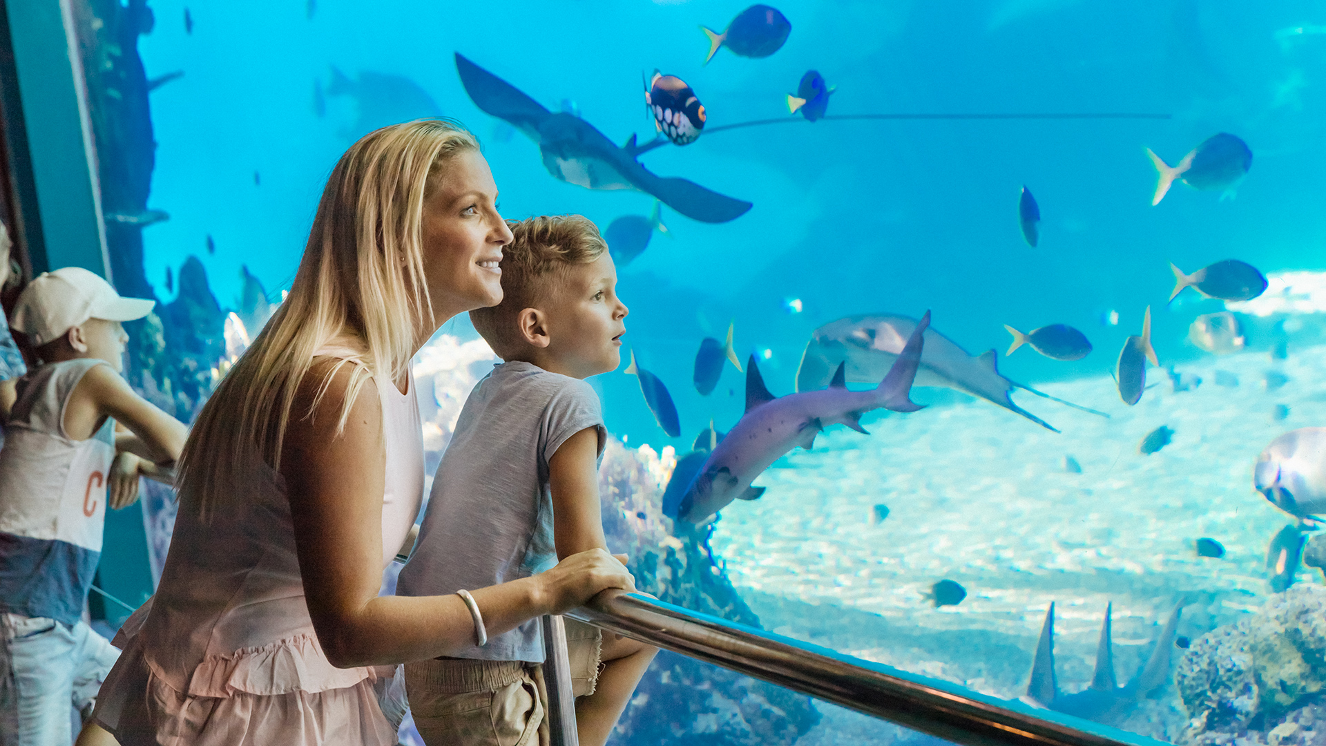 Passeio marinho no Sea World